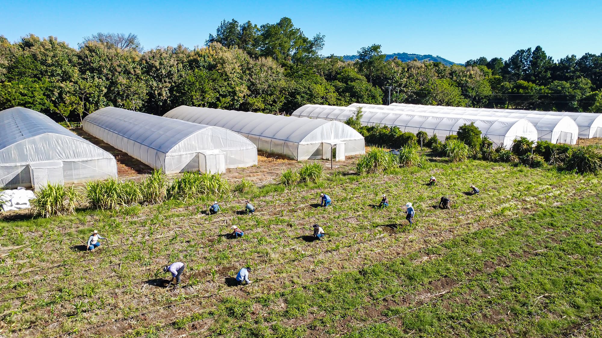 Escuela Nacional de Agricultura Roberto Quiñonez (ENA)