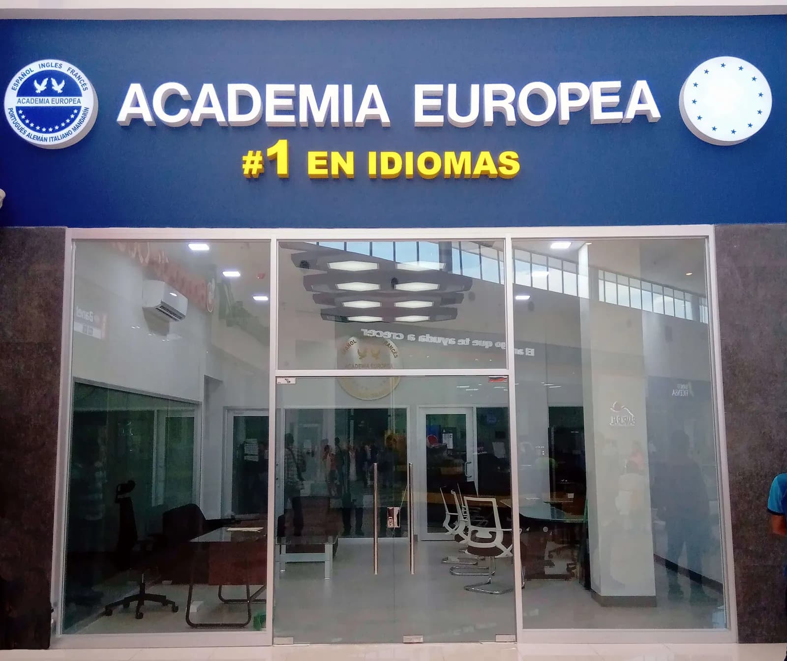 Academia Europea